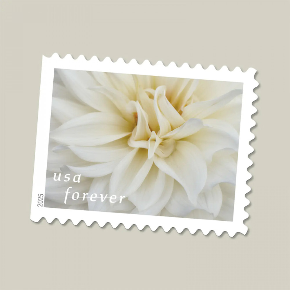 2025 Dahlias Stamps Book of 20